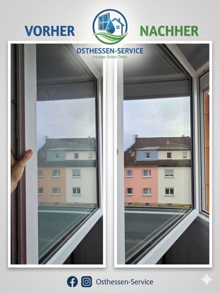 whatsapp image 2026 03 18 at 21.42.11